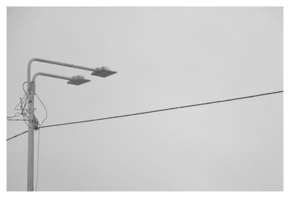 Kasino Spin 247 Podpora